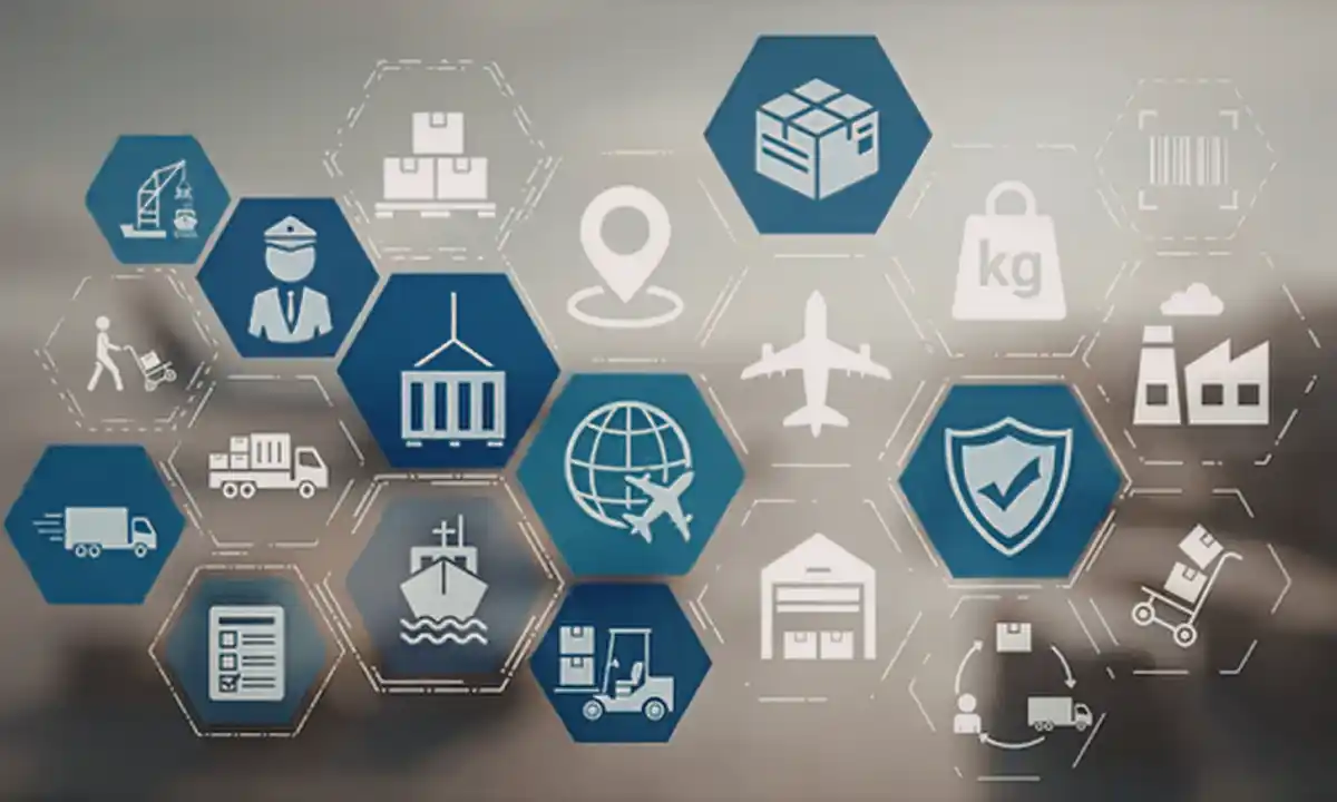 What Carrier Vetting Actually Involves